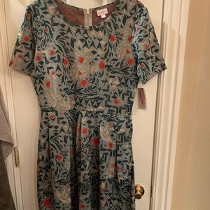 Size 2XL Amelia lula roe dress